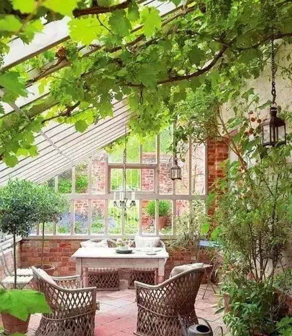 我们心中的小院, 每晚睡前都幻想着它的模样