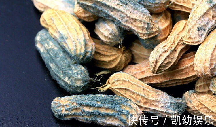 饮食|柳叶刀:中国癌症与饮食息息相关!5种做菜习惯或致癌,及时改正