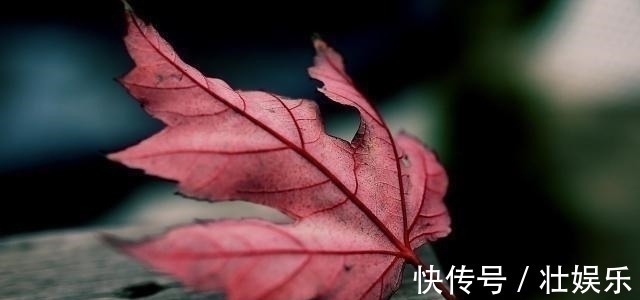 婢女@多少人败在“不会做人”上熟记这3个做人技巧,未来会越来越顺