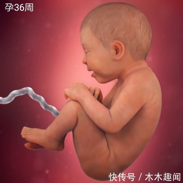 零食|孕28-36周是胎儿猛涨期,孕妇常吃这4种零食,宝宝聪明更容易长个