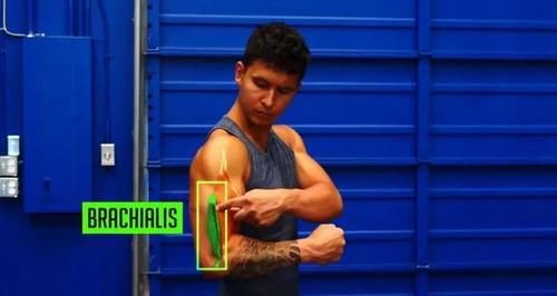 手肘|推肩一套省时、高效的肱二头训练！
