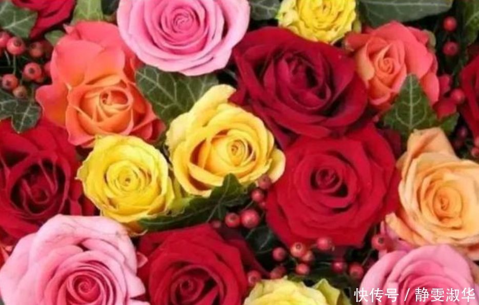 比香水还好闻的3种花，随便养都能爆盆，满屋飘香，花香花更美