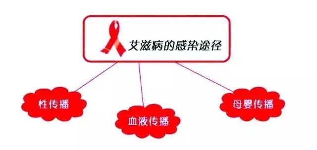 艾滋病病毒|【健康素养】身边的艾滋病和病毒性肝炎是如何传播的？