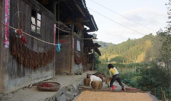 心坎|农村八大俗语教做人道理，看完给跪了，句句在心坎！