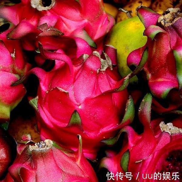 冬天不妨多吃3種食物,排毒養(yǎng)顏,淡化皺紋,好吃又健康