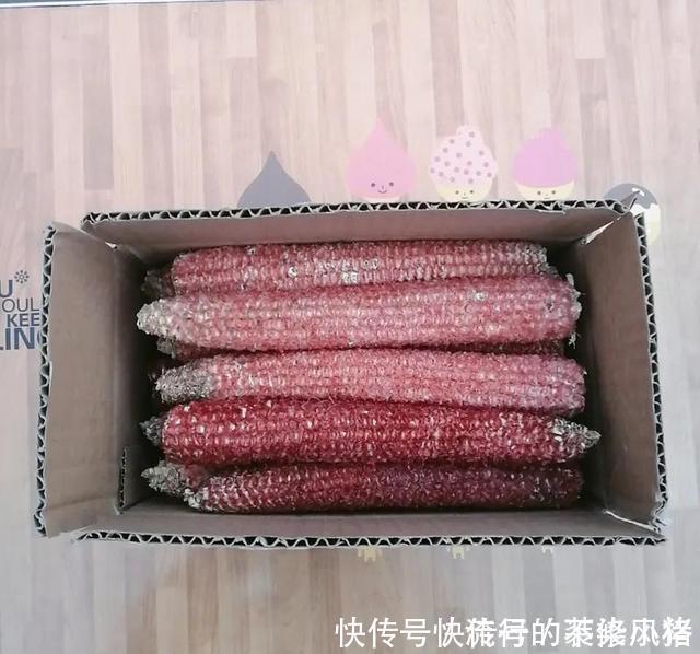 花盆里垫点底料,根壮叶绿状态好,爆盆真简单