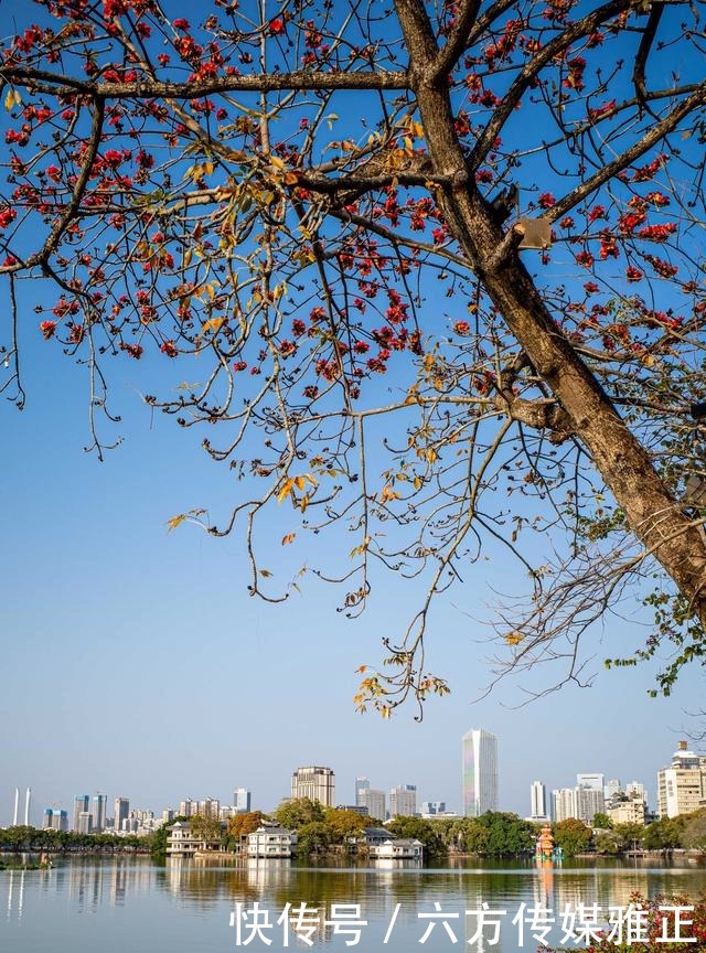 原来中国有两个5A级西湖景区，另一个在广东，不收门票夜景超美