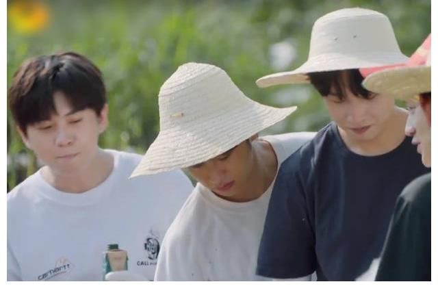 嘉宾|《向往5》快播完了,地还没种完,节目组的操作堪称“教科书”