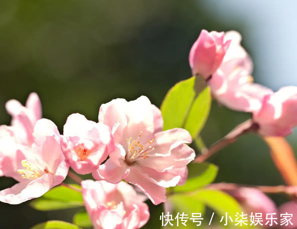 生肖龙|越胖越有福气的四个生肖女，天生的贵命，是最不应该减肥的生肖