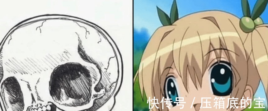 角色|二次元劝退，这就是你喜欢的角色骨骼真实的样子！