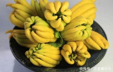 想长寿得会吃,3种食物不错过,营养丰富,滋润肌肤