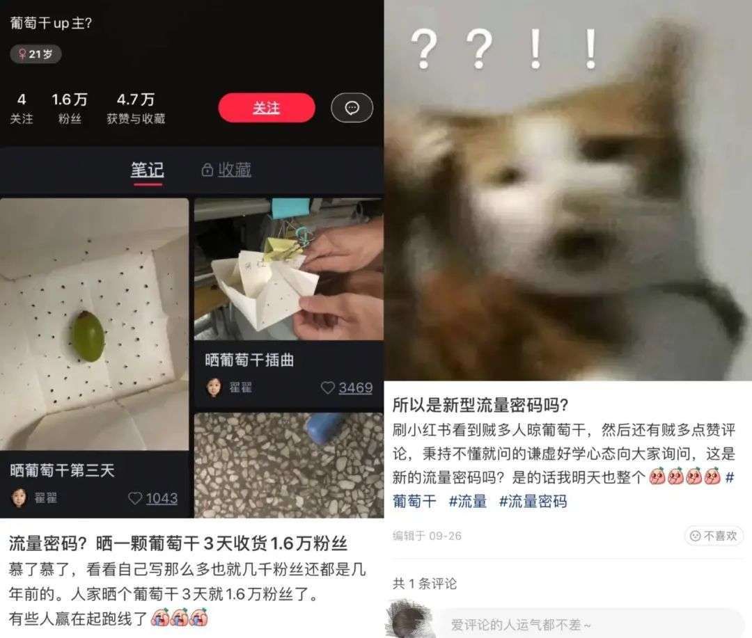 笔记|靠晒葡萄涨粉近4万，小红书莫名其妙的风口来了，要跟吗？