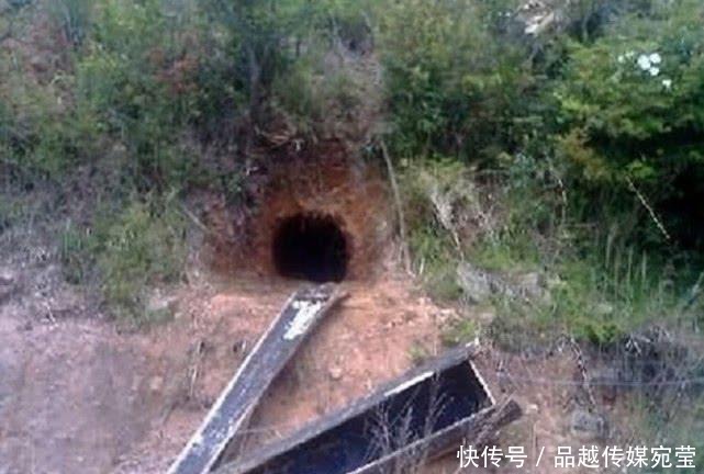 挖出|警察破获盗墓案,盗墓贼称只挖出两件瓷器,专家去后挖出一级国宝