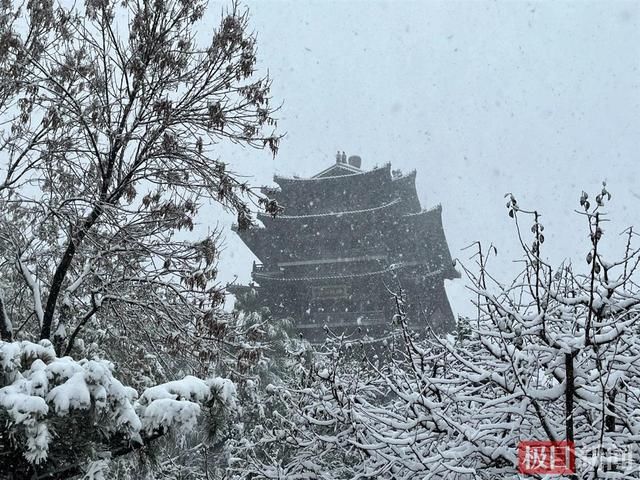 新闻记者|近10年最早初雪光临济南，市民赞雪中大明湖“宛如仙境”