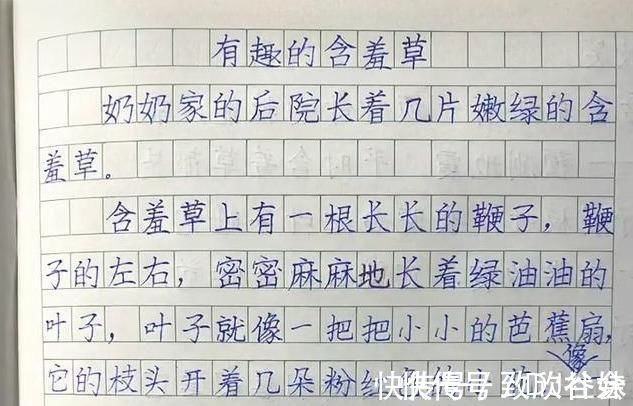 学霸$家长晒二年级学霸作文，字迹严谨规范，端庄大气，堪比“教科书”