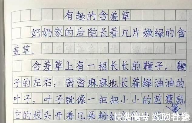 学霸$家长晒二年级学霸作文,字迹严谨规范,端庄大气,堪比“教科书”