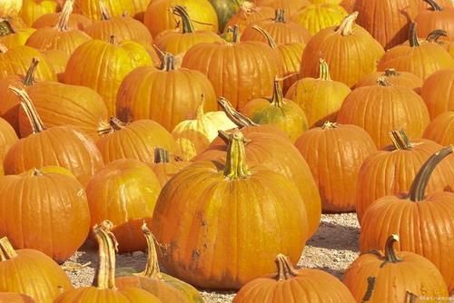 入夏了就应该多吃它，增强大脑功能，抗衰老，特别适合女性朋友