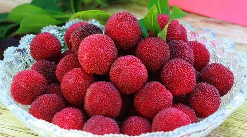 端午|端午节，无论贫富，6样“吉祥果”摆上桌， 应季好吃寓意端午安康