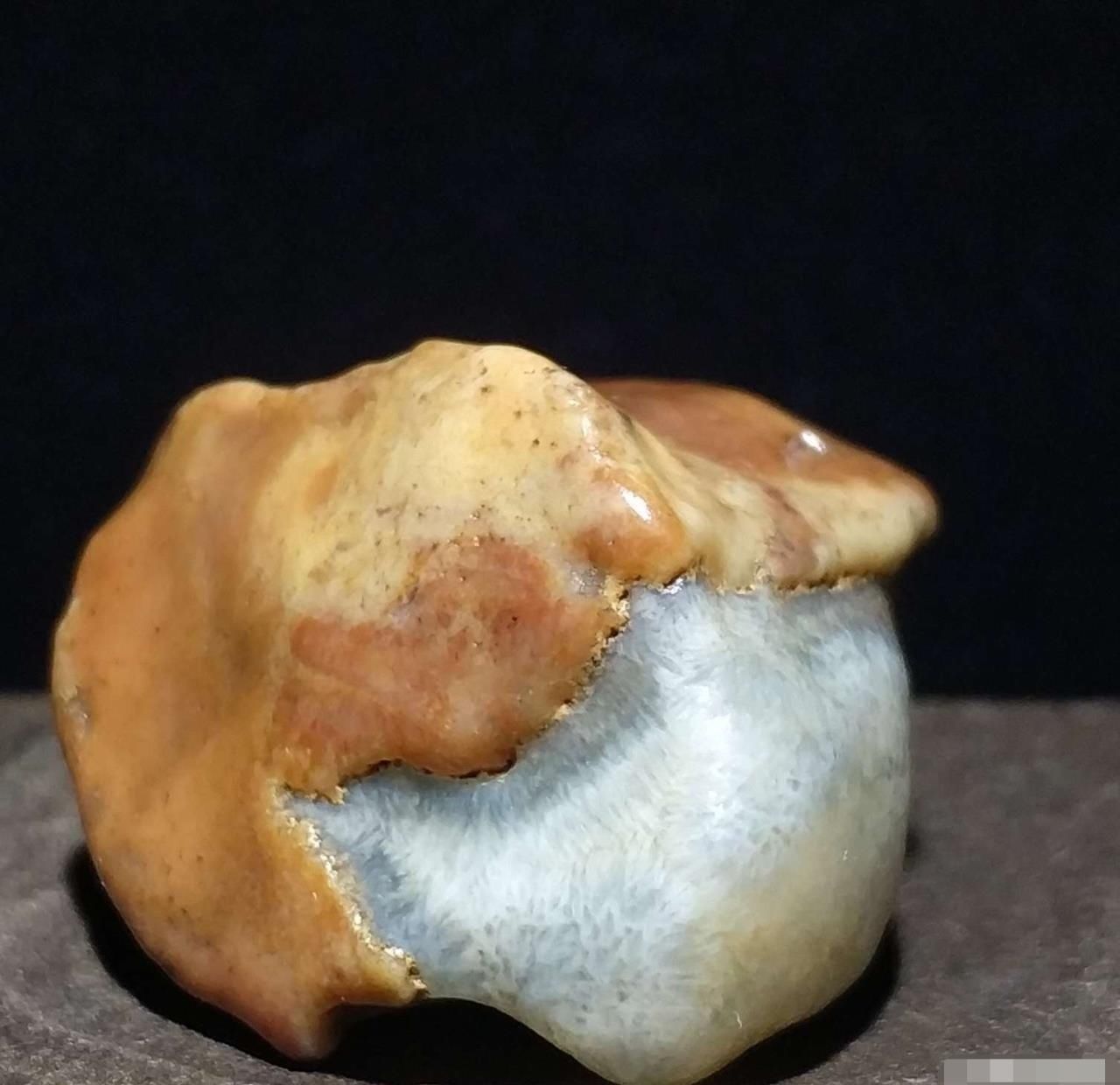 奇石|大自然奇石是珍贵的艺术品,质朴与美丽共存,形状颜色怪异价值高