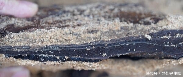 中蒙历时3年合作发掘神秘大墓:人骨趴在棺椁上,谷物垫在棺材里