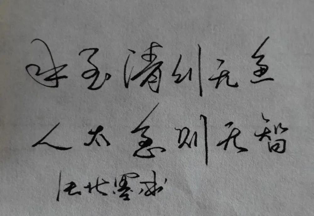 牵丝|今后练字注意这4个方面,写一手好字就不难了