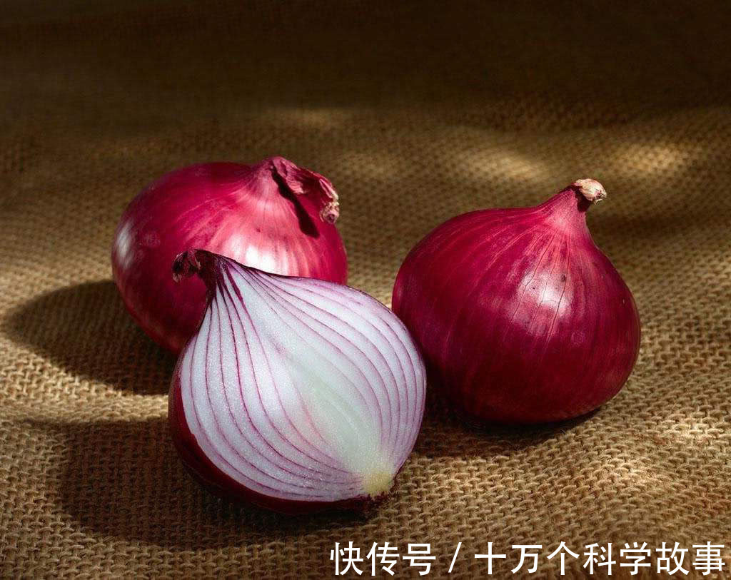 青蛙|在验孕棒发明之前,女人为了验孕,差一点导致青蛙灭绝