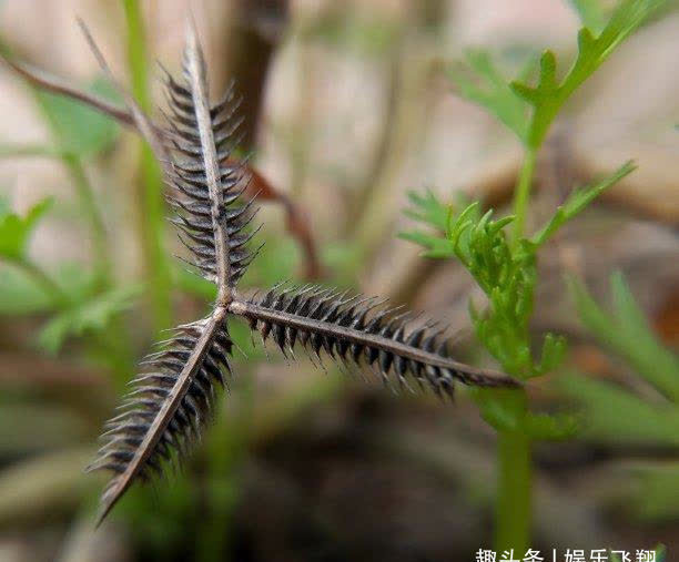 一周以后，旧爱逼人，余生是你，主动求和，互相追逐，守护永恒