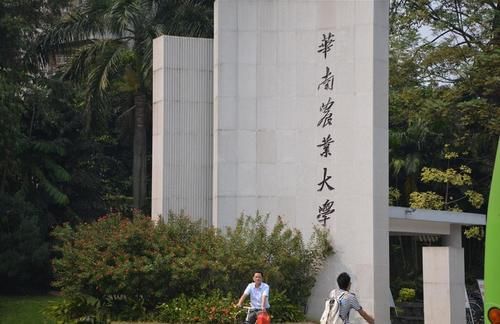 2021年“双非”大学10强，南科大强势问鼎，广东、江苏各占3席