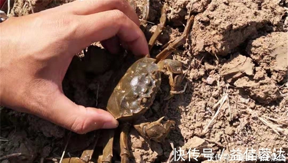 大鱼|钓鱼技巧：鱼不咬钩有6大原因，技术高也没用，不如趁早收杆