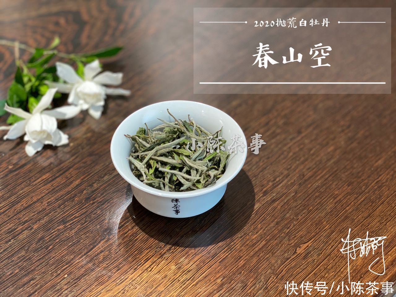 冲泡白茶|买大还是买小？买厚还是买薄？有关白瓷盖碗的答案都在这了