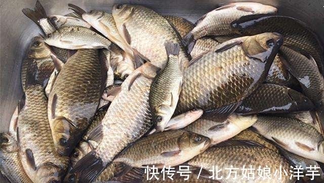 高手这钓法真厉害!省心省力,提竿就能中鱼