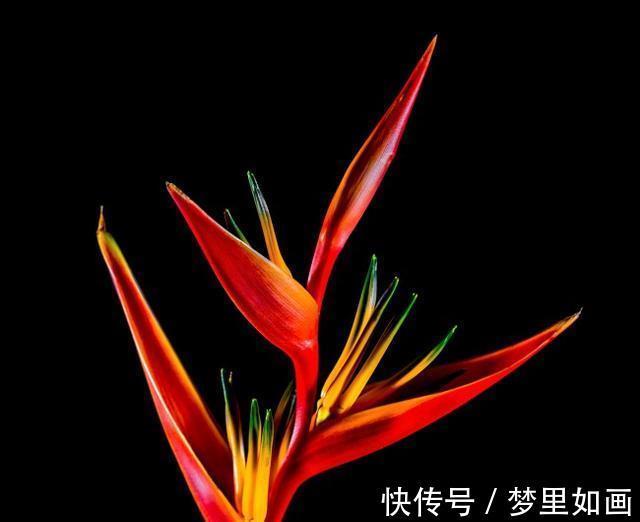 爆棚|8月12号开始，财神助力，事业蒸蒸日上，财富爆棚