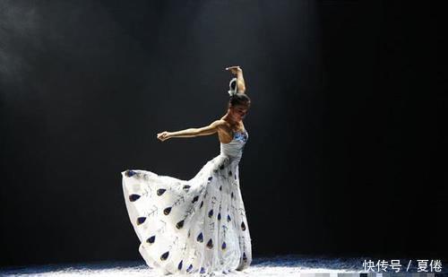 开屏|杨丽萍到公园偶遇孔雀,孔雀纷纷开屏迎接,万物皆有灵!