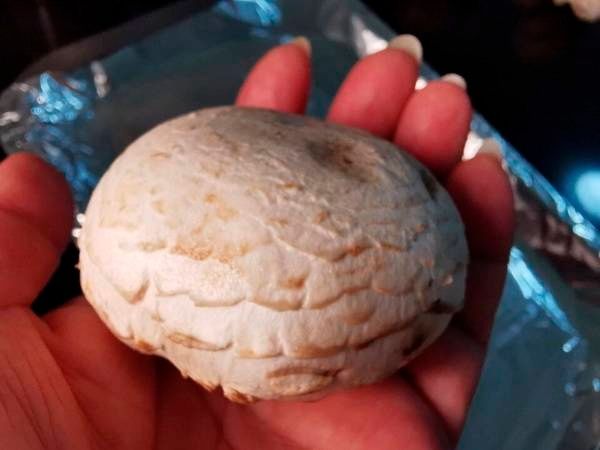 拳头大的口蘑，就应该这么吃，汤汁都是精华美味