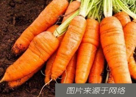 此物|胡萝卜和此物一起炖,失眠好了,护肝明目,血管也不堵了