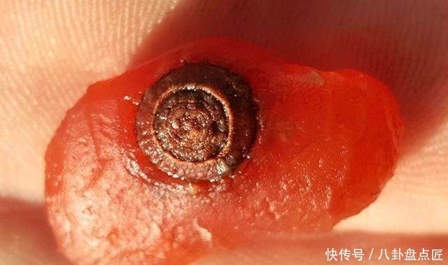 看到别人捡的石头才知道差距有多大了