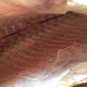 家常鱼肉菜谱，酸菜鱼，简单美味营养，满满一大盆，超级过瘾！