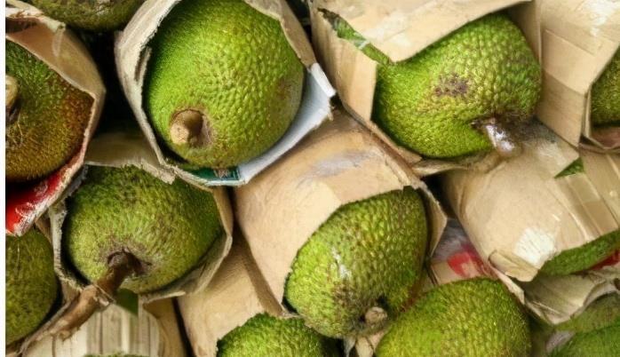 長壽老人愛吃3種食物,補充營養、滋潤肌膚,好吃又健康!