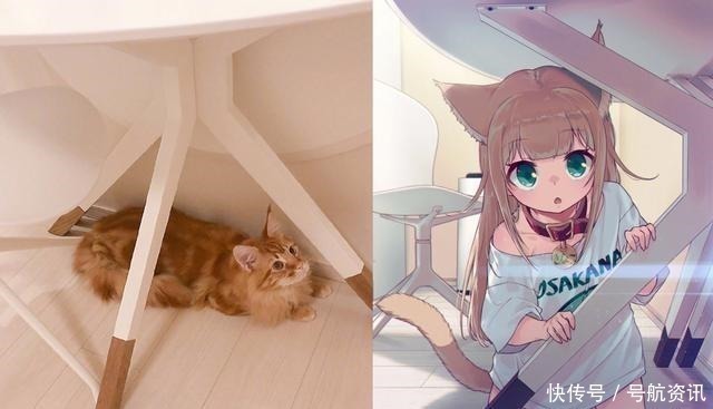 猫咪|想让猫咪变成人变是不可能的,但画师可以将其画出来!