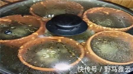 阳台|学会这9个扦插绝招,插啥活啥,蹭蹭长出大白根,阳台多的放不下