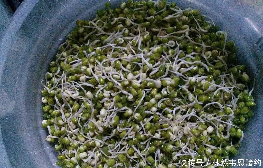 祛湿效果是薏米的一百倍，每天喝一杯，横扫体内十年毒