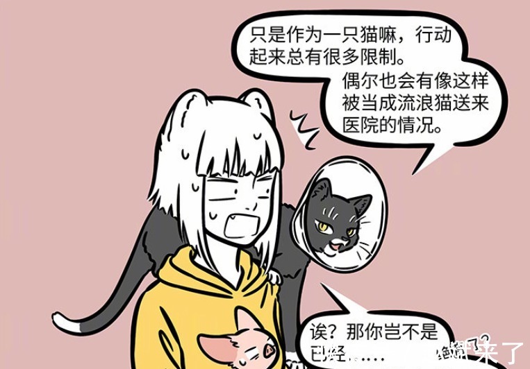 佛性|非人哉:大士为普度众生被绝育,我佛果然慈悲,悟了悟了!