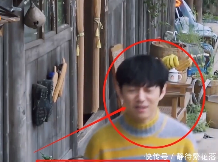 李雪琴 《向往》下期看点十足,李雪琴生猛抓鸡干活利索,李诞却累到虚脱