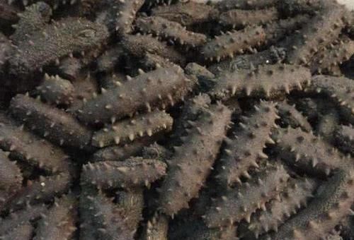 月经不调|女人“大姨妈”刚走,多吃3种食物,消炎排毒,卵巢给你“点赞”