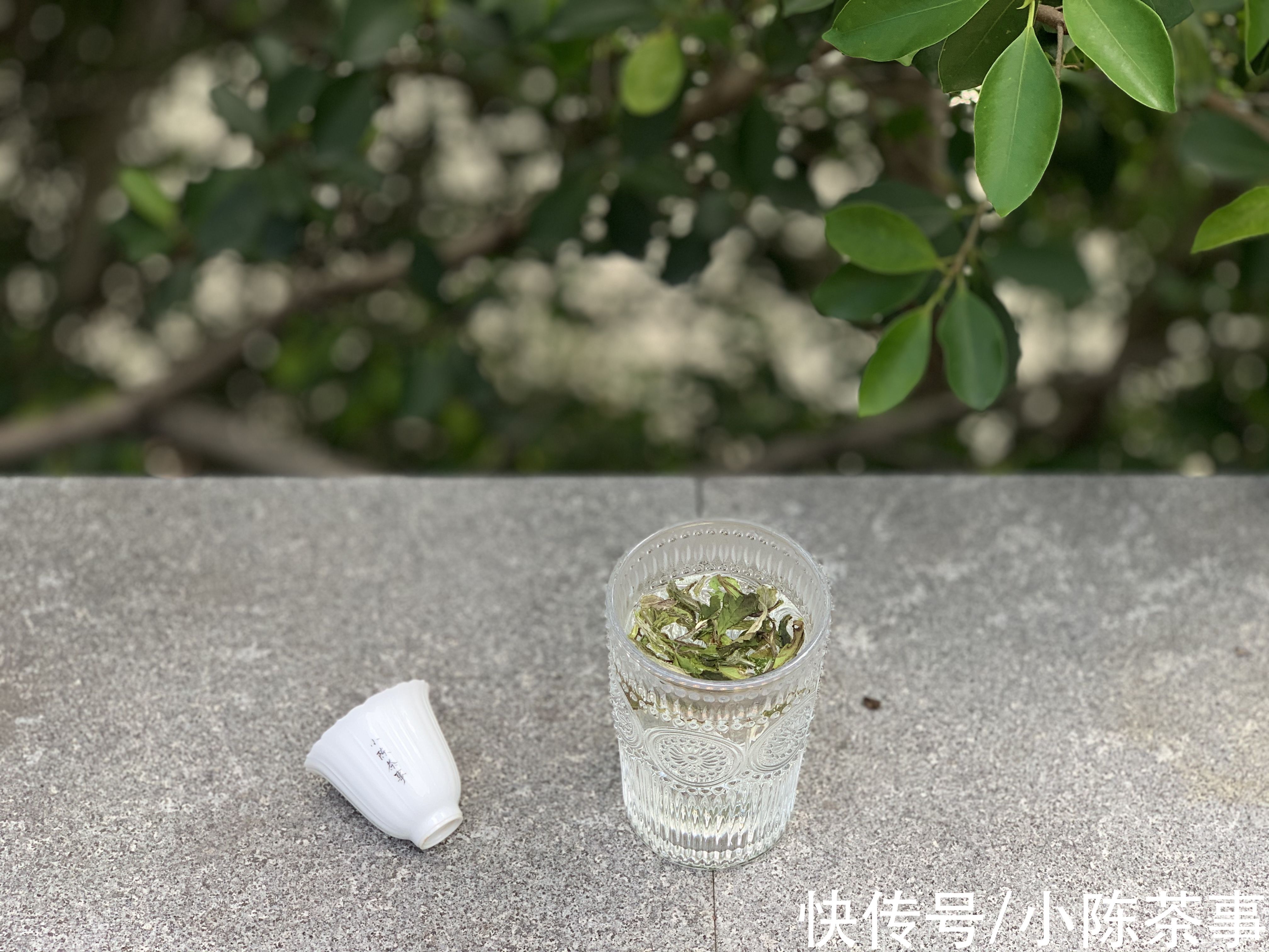 茶汤|白茶适合用什么茶具冲泡？盖碗、玻璃杯，还是紫砂壶？