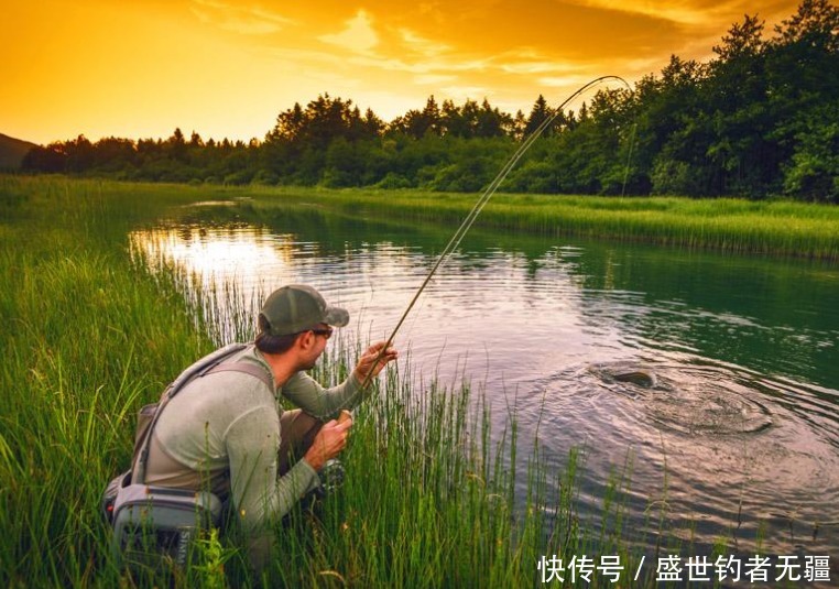 江河野钓不容易,学会这四招,爆护跑不了!——盛世三渔