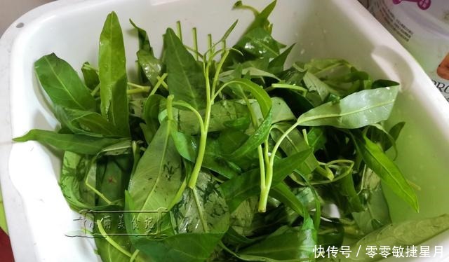 维生素c|夏天,少吃苦瓜茄子多吃它俩,富含维生素C滋养肌肤,不懂吃可惜!