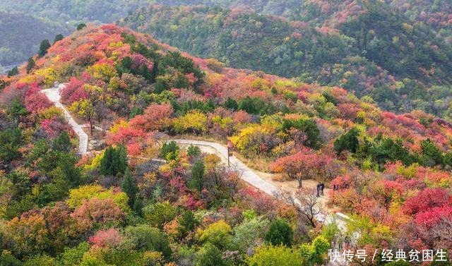 黄山|6A级景区箭在弦上，这10个景区应该入选，来看看你去过几个了