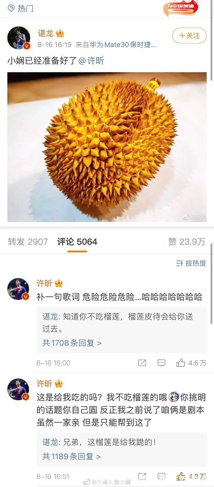 林丹|羽坛女神王适娴:17岁与谌龙私定终身,相爱10年甘愿为他退役生子