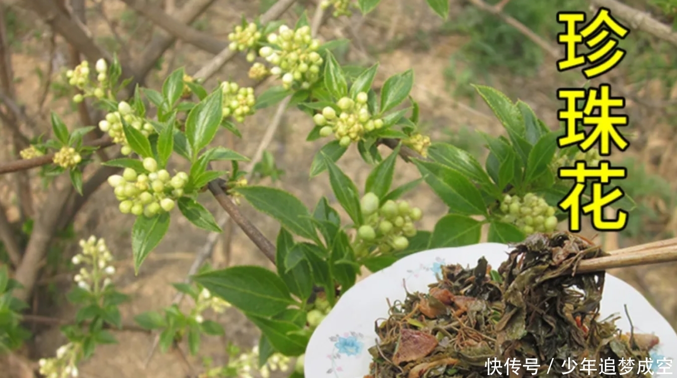 五一桐柏游：山水赏花游乐美食，世外桃源嗨起来